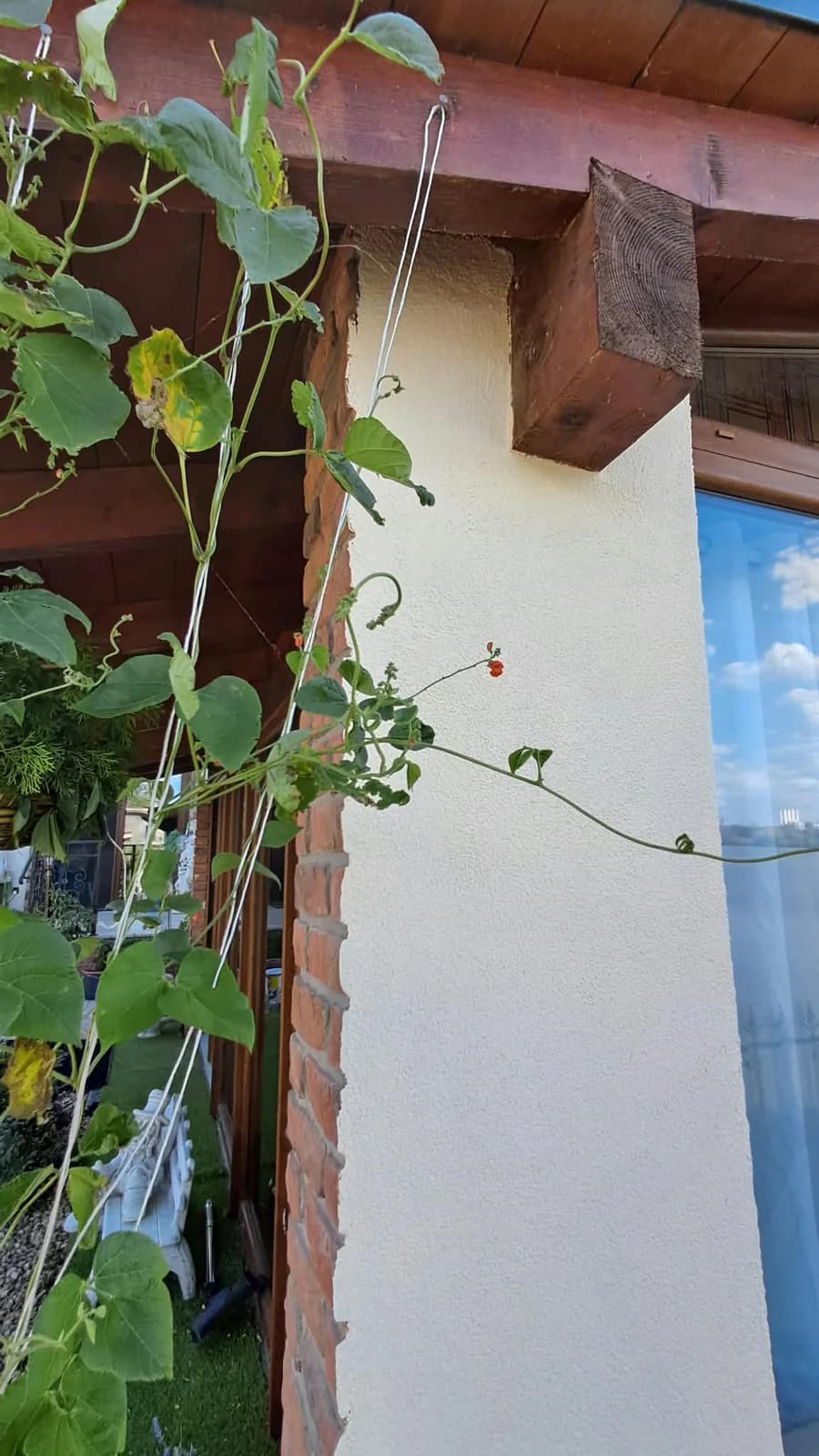 Maľovanie fasády za 1 deň, výsledok 2